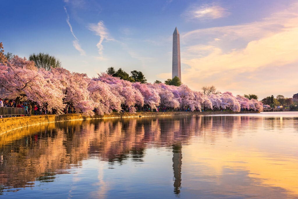 The Washington Monument and Tidal Basin on the National Mall in Washington, D.C.