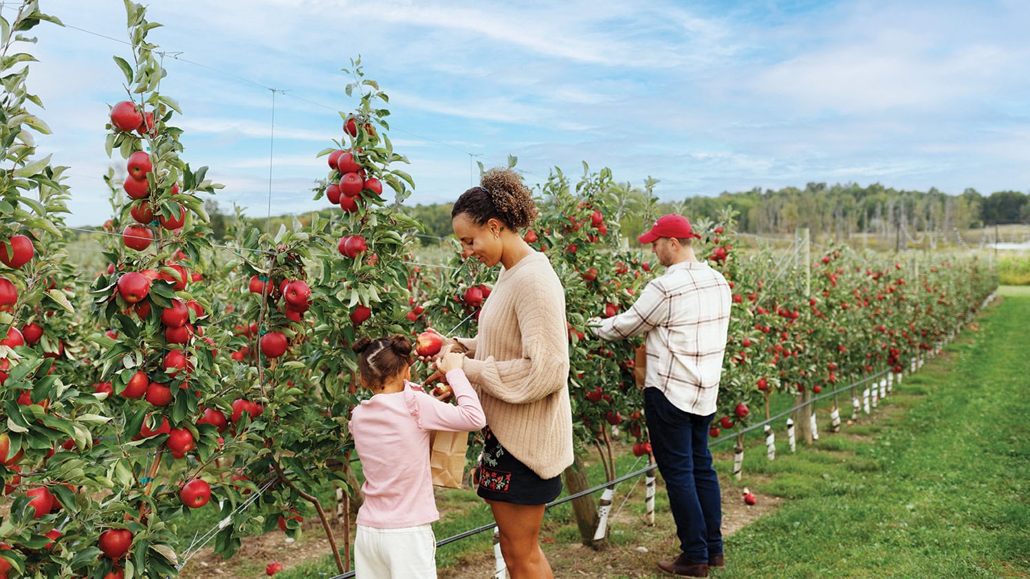 Picking apples at the Orchards at Red Barn near Grand Rapids, Michigan