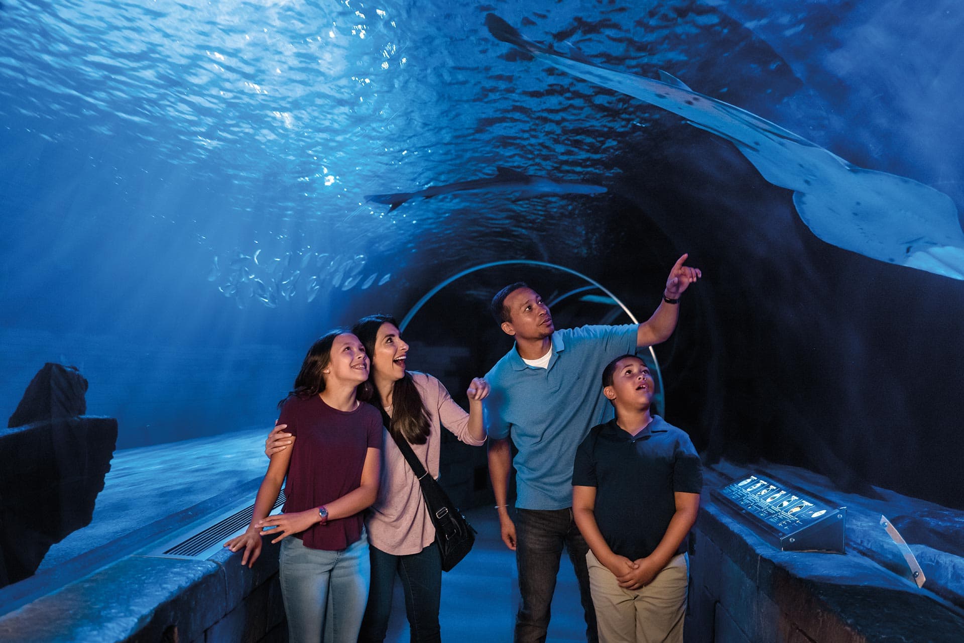 Une famille dans le tunnel des requins de l’ SEA LIFE aquarium , au sein de l’ Mall of America , à Bloomington, Minnesota