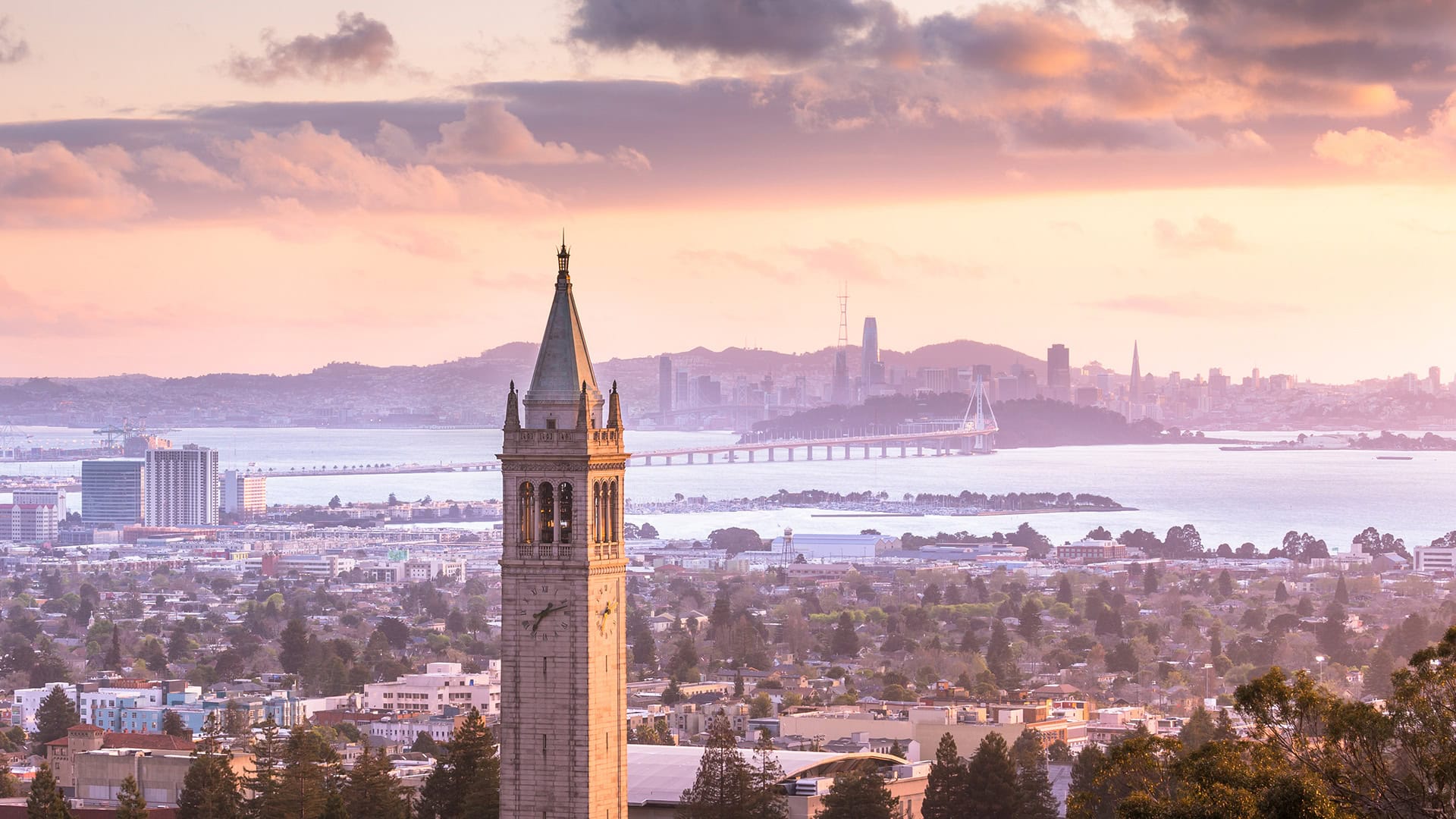 カリフォルニア州バークレーにあるカリフォルニア大学バークレー校のキャンパスにそびえ立つサザー・タワー
