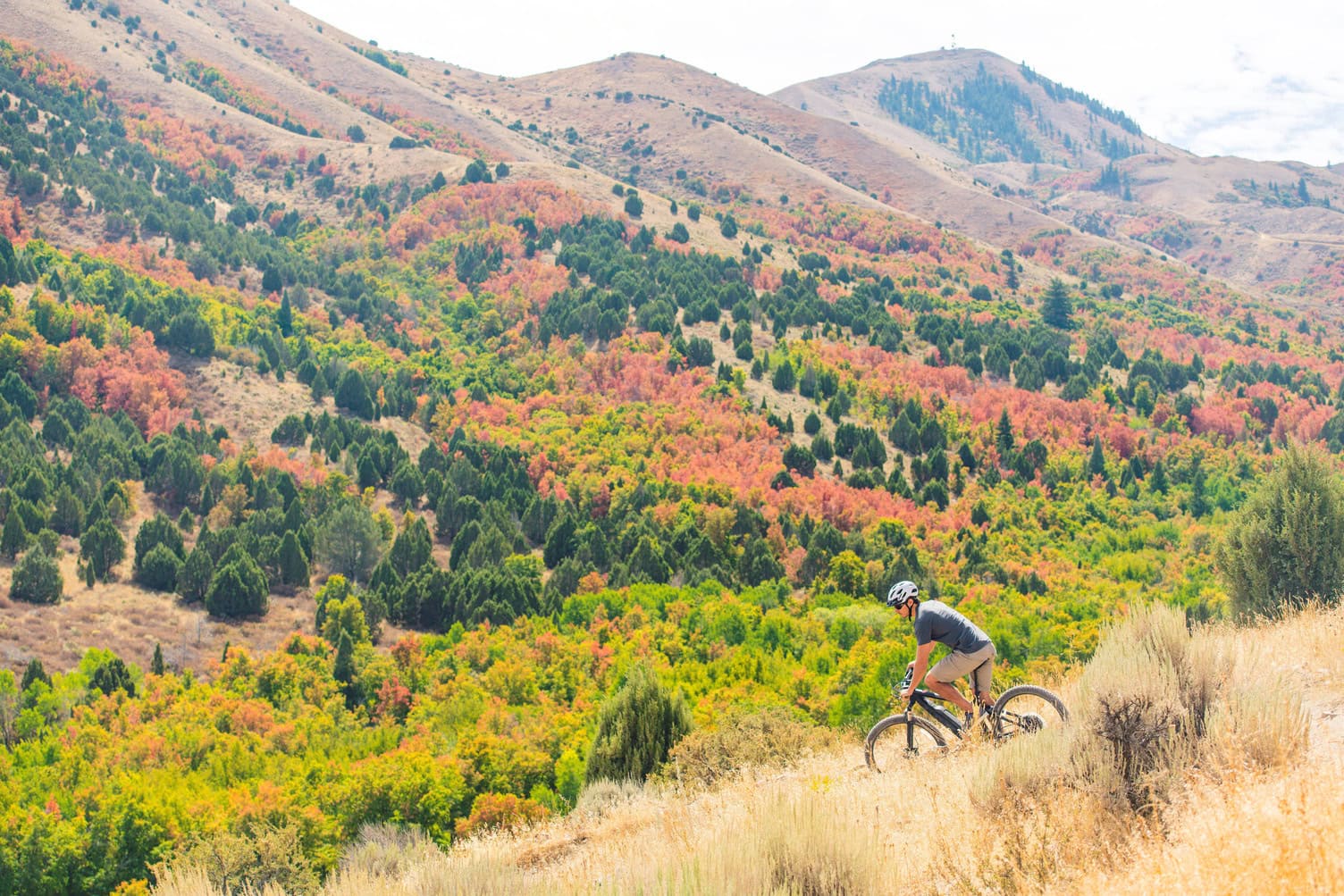 Biking in the Lava Hot Springs in Pocatello, Idaho