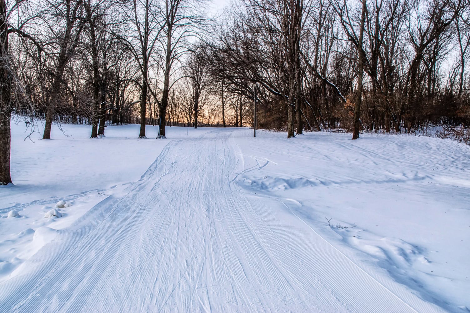 La neige recouvre le sol sur la piste de ski de fond d'Hyland, à Bloomington, Minnesota