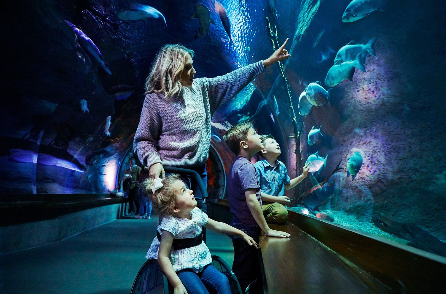 Una famiglia al Wonders of Wildlife National Museum & Aquarium di Springfield, nel Missouri
