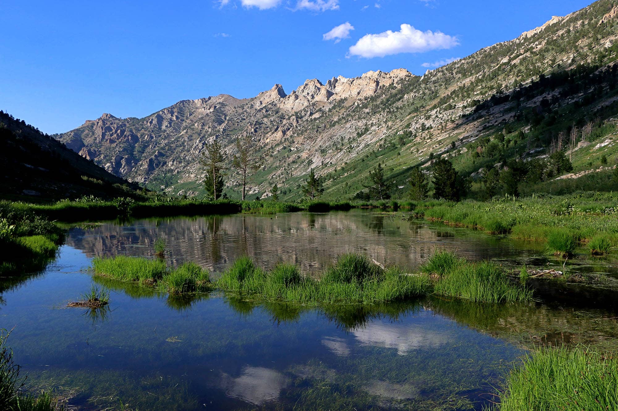 Lamoille Canyon near Elko, Nevada