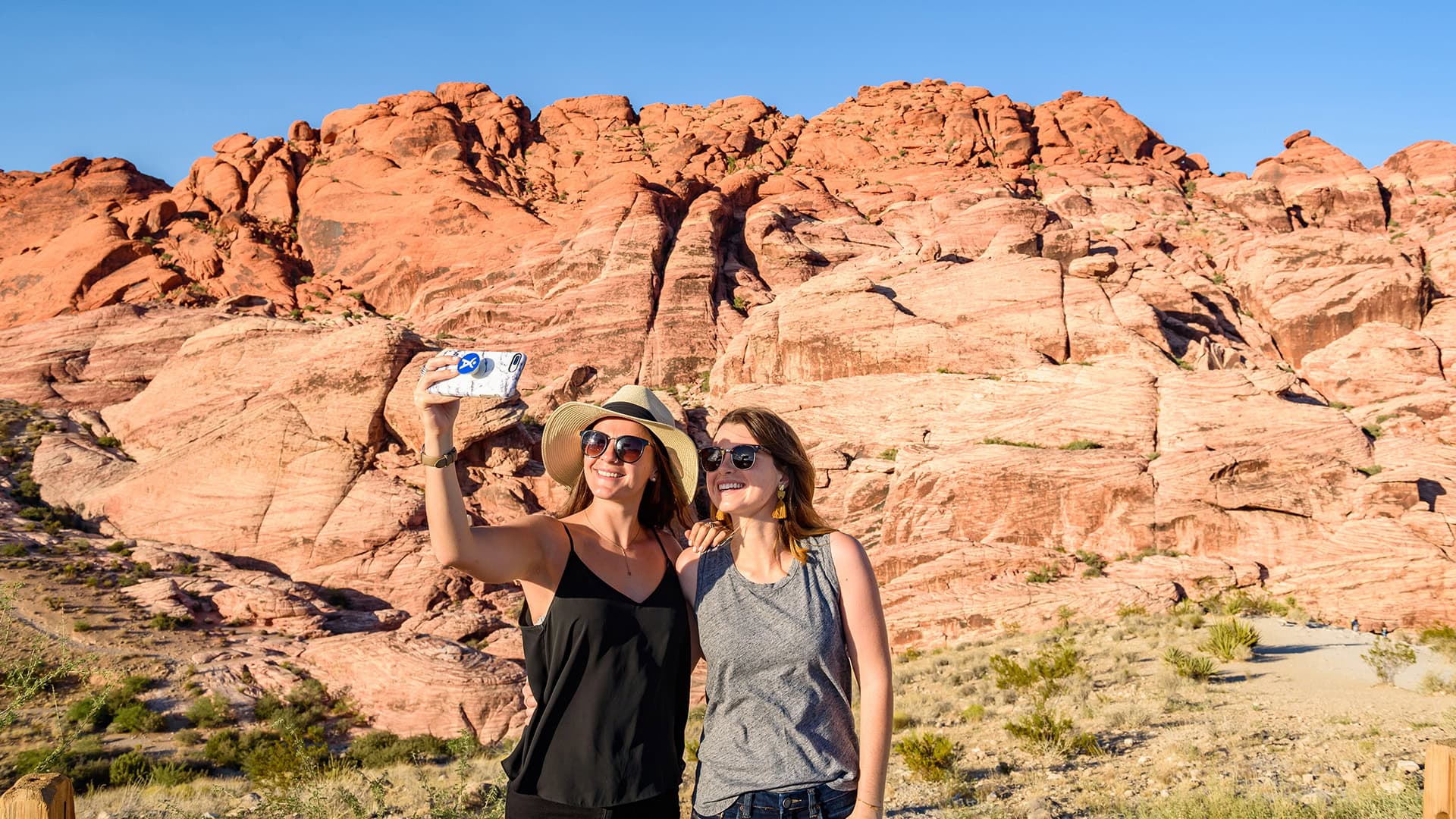 Parco statale Valley of Fire, nei pressi della Moapa Valley, Nevada