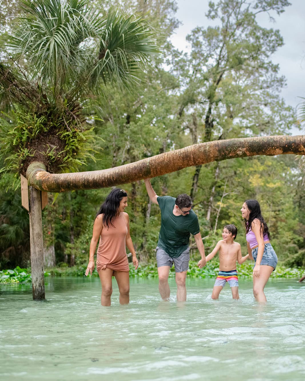 Rock Springs au parc Kelly près de Orlando , Floride