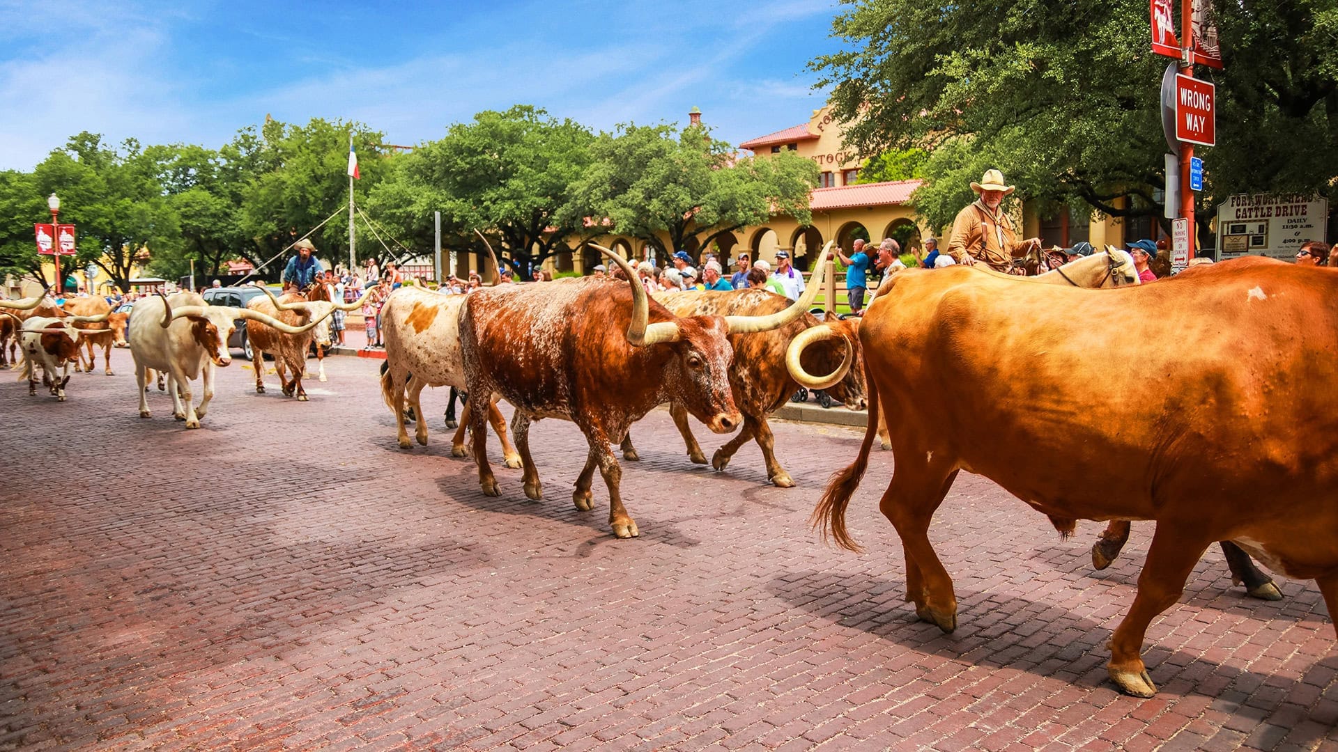 Mandria di bestiame alla Fort Worth Stockyards Station a Fort Worth, Texas