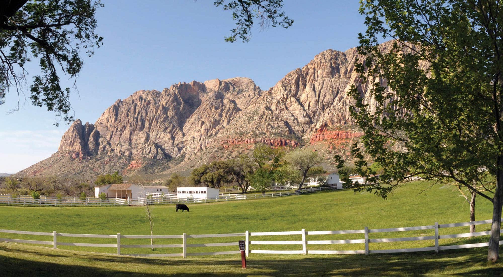 Spring Mountain Ranch State Park near Blue Diamond, Nevada