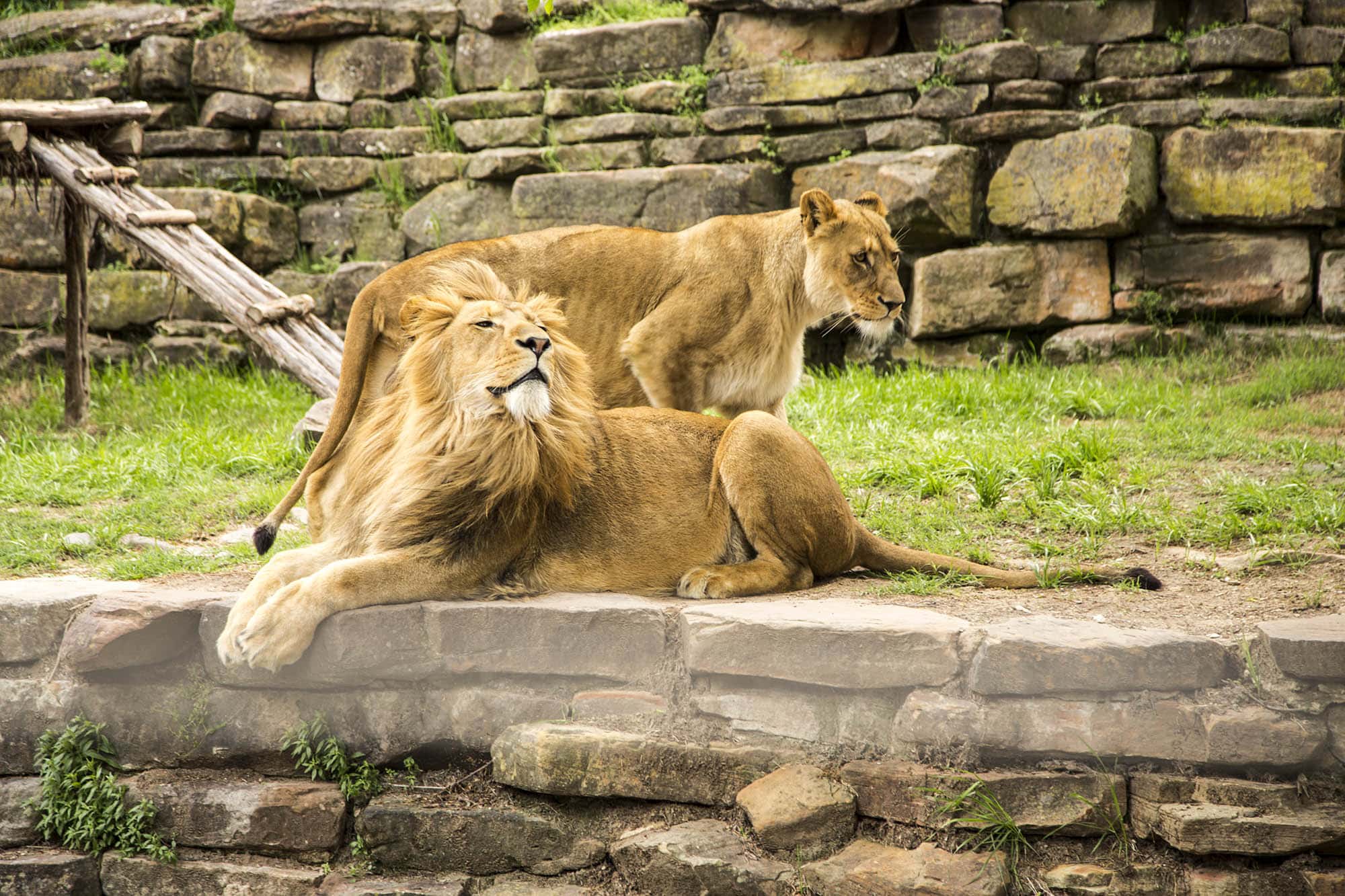 Fort Worth Zoo in Fort Worth , Texas