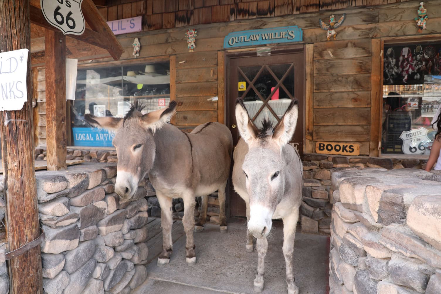 Wild burros crossing Main Street in Oatman, Arizona