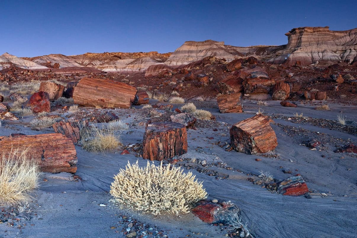 badlands es con bandas y troncos fosilizados en el Parque Nacional del Bosque Petrificado, Arizona