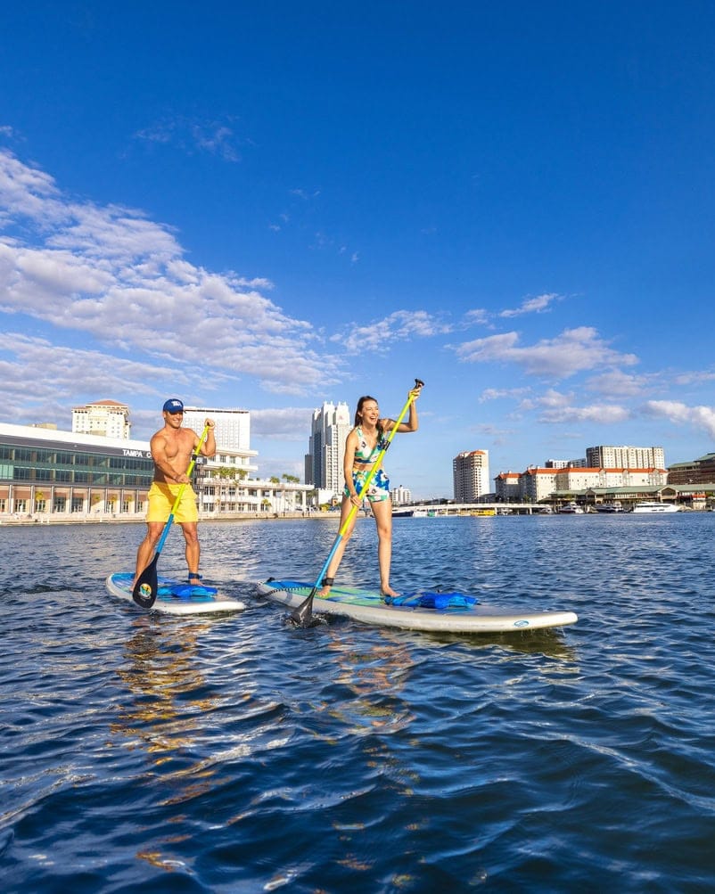 Le stand-up paddle à Tampa Baie, Floride